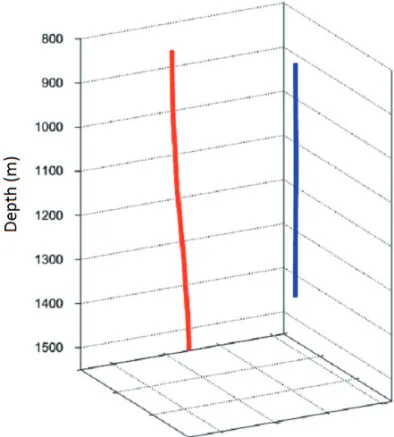 Figure 9 – 3-D representation of the wells. The well with sources is in red, and the well with receivers is in blue.