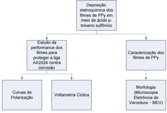 Figura 1 - Fluxograma das etapas desenvolvidas no trabalho. 