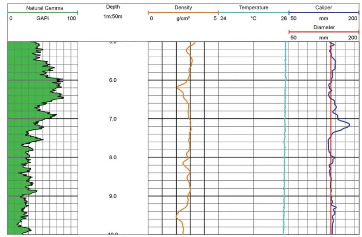 Figure 4 – Gamma-gamma well logging log with the essential dataset.