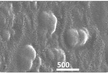 Figure 1 - SEM image of NCD-DLC film produced from NCD particles of 500 nm at 1.0 g/L