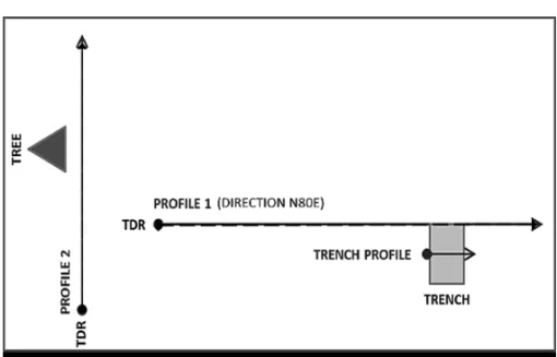 Figure 2 – Schematic (no scale) representation of the profiles in the study area.