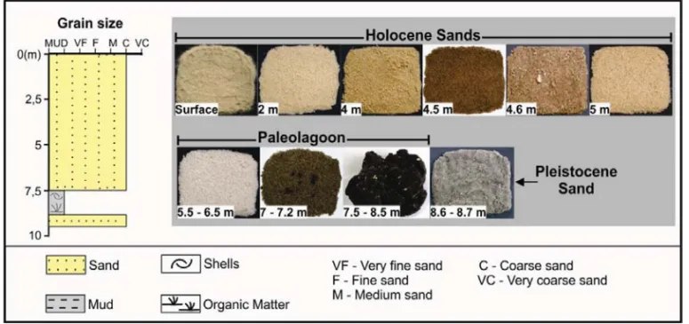 Figure 8 – Main characteristics of the sediments collected with the borehole.