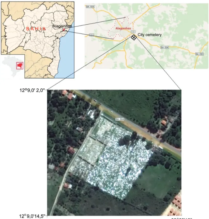 Figure 1 – Geographic map and Google images showing location and access to the study area, and the VES centers distribution around the cemetery.