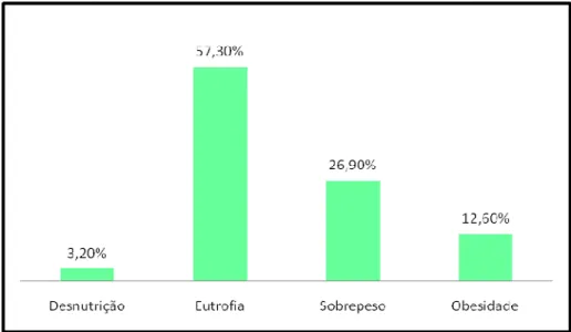 Fig. 1 - Classificação do estado nutricional, segundo IMC, da amostra estudada, São Paulo,  2010