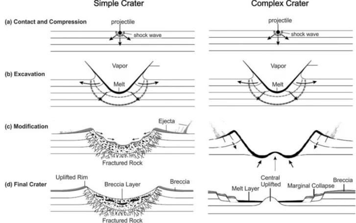 Figure 3 – Stages of simple and complex craters formation. (a) Contact and compression of the target rock; (b) Transient crater excavation and disintegration of the projectile; (c) Fracturing and central uplifting; (d) Final shape of a simple and a complex