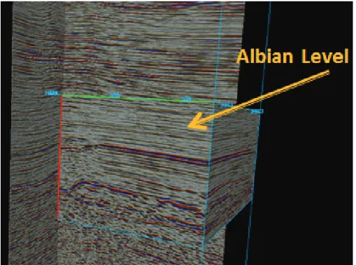 Figure 6 – Extraction of a cropped volume from the original amplitude cube in the Albian interval.