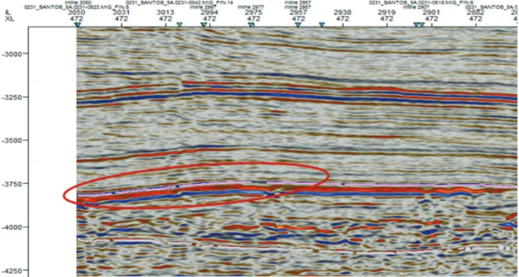 Figure 9 – Seismic line showing the main carbonate reservoir in shallow water depth.