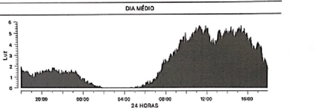 Figura 2. Perfil médio de exposição à luz nas 24 horas do dia, com pico de exposição no período vespertino