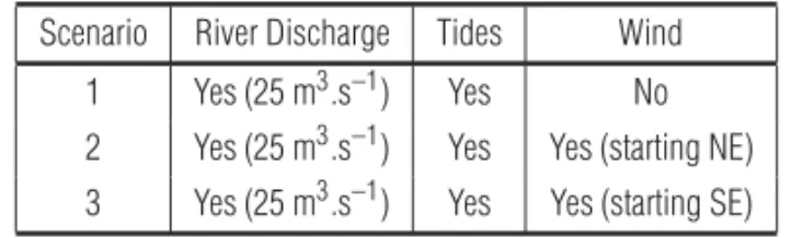 Table 1 – Summary of the boundary conditions of the three scenarios assessed.