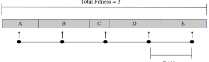 Figure  3  illustrates  this  procedure  for  ive  individuals  (A,  B,  C,  D  and  E)
