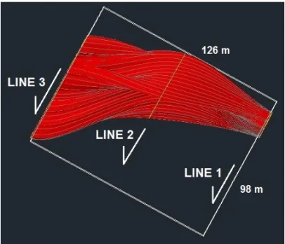 Figure 11 – Top view of the solid associated with the contamination plume.