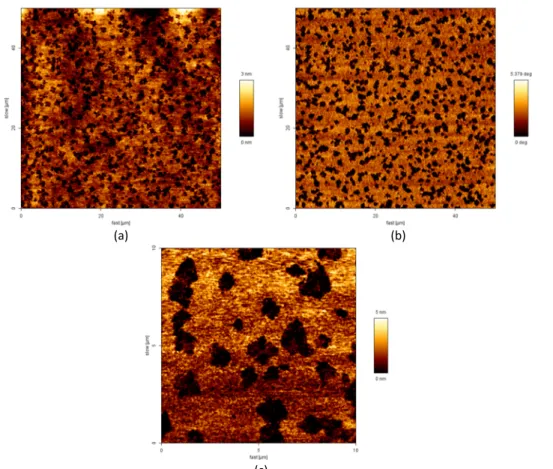 Figura 8. Amostras produzidas a partir de solução de tolueno: 6 gotas de solução em área de (a) 50 x 50 μm² (topografia); 
