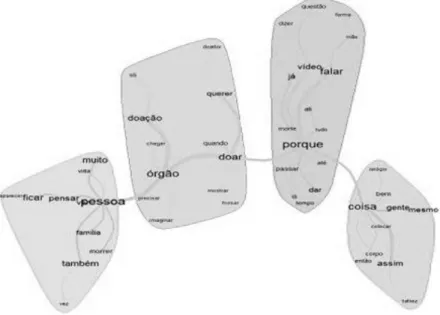 Figura 2. Representações sociais da doação de órgãos e de corpo expressa no grupo focal