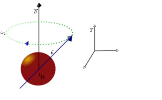 Figura 2.1 Representação do movimento de precessão spin do átomo de hidrogénio 