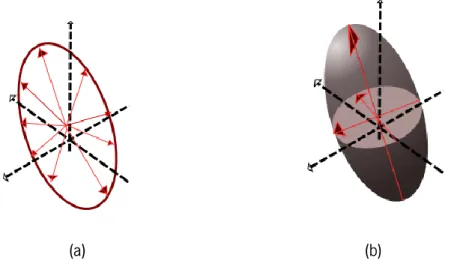 Figura 3.2 Representação das medidas de difusão através de (a) múltiplos eixos, que é estimada  numa (b) forma elipsoide
