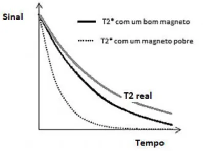 Figura 2.5. Comparação dos sinais de T2* e T2 para o mesmo tecido com homogeneidades diferentes