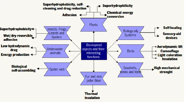 Figure I. 1 – Overview of different biological systems with interest in materials engineering, for biomedical  purposes