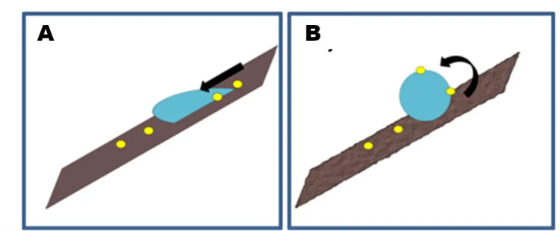 Figure I. 7 - Comparison of liquid droplet onto A) smooth and B) rough surfaces. Adapted from [11]