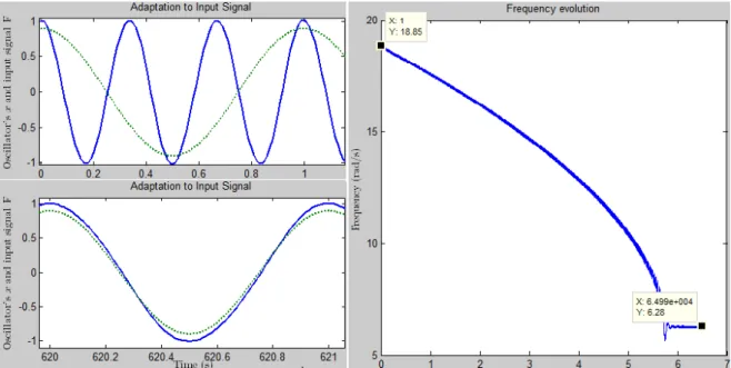 Figure 3.5: Frequency learning in the Hopf AFO. The learning input is a harmonic signal F = cos (2πt)