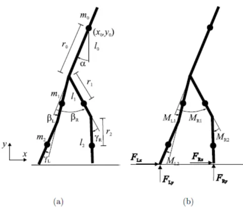 Figure 4.2: Schematic diagram of the biped walker stick man.