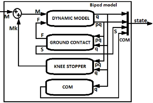 Figure 4.4: The blocks inside the Biped model block.