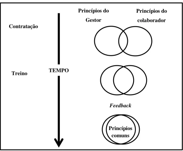 Fig. 6 – Processo de feedback organizacional 