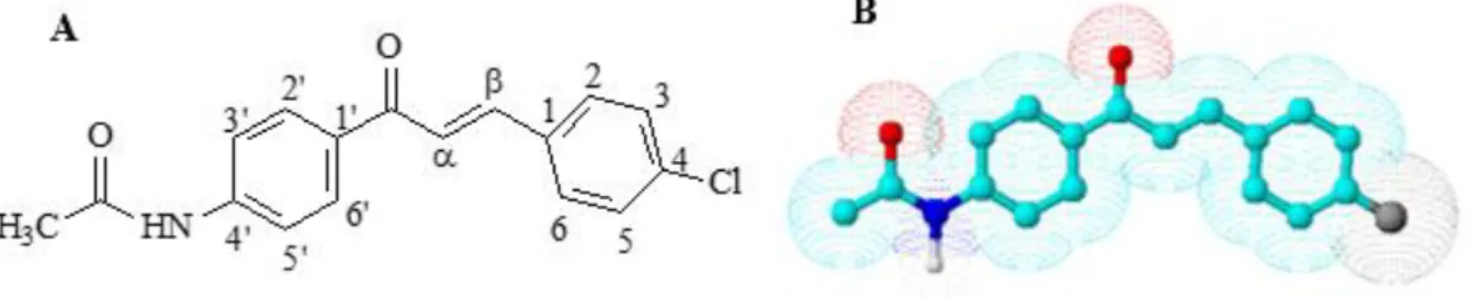 Figura 1: A- Estrutura química da Chalcona chalcona N-4’[(2E)-3-(4-clorofenil)-1-(fenil) prop-2-en-1-ona] B- Estrutura  dimensional da chalcona  
