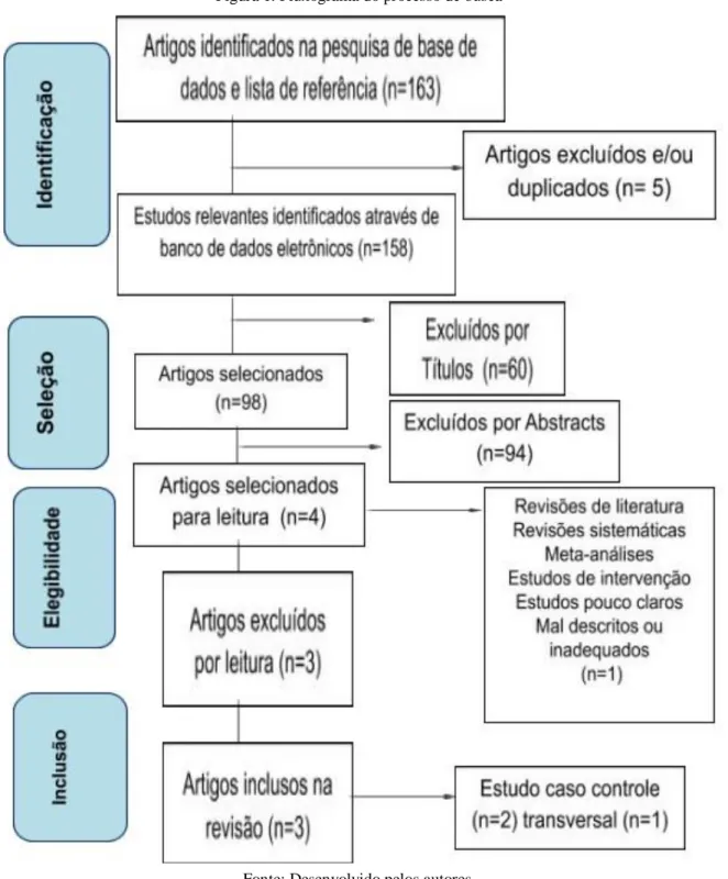Figura 1. Fluxograma do processo de busca 