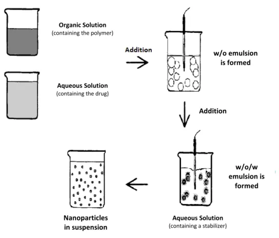 Figure 2-10: Method for the preparation of nanoparticles based on a double- double-emulsion (Adapted from Gomes V.M.A., 2009 [15]).