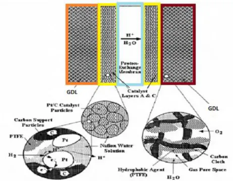 Figura  2.12    Detalhe  do  MEA  (Catalysis  Today,67(1–3),  Thampan  Tony,    Malhotra  Sanjiv,  Zhang  Jingxin  and  Datta  Ravindra,  PEM  fuel  cell  as  a  membrane    reactor,  15–32,  2001,   Elsevier) 