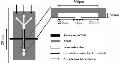 Figura 3.10  Curvas de polarização (a) e densidade de potência(b) para dois fluidos 