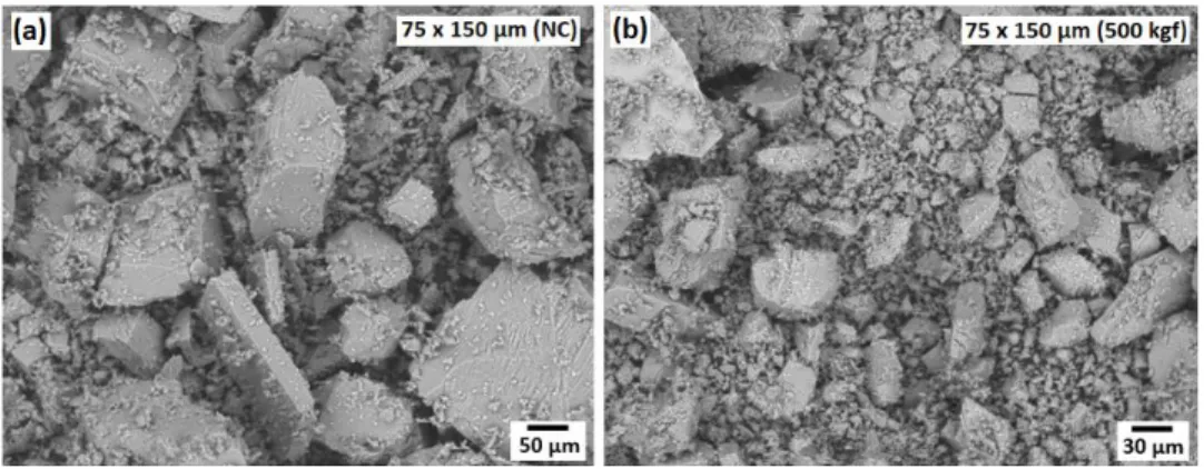Figura 6 - Imagens obtidas com MEV da calcita particulada: (a) antes e (b) após compactação com 500 kgf (aumento: 