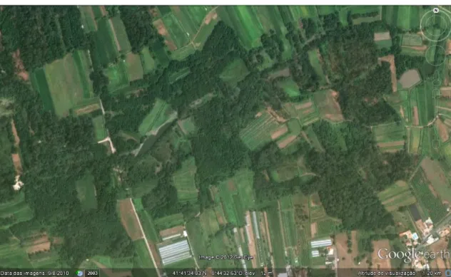 Figura  11: Imagem aérea obtida a partir do programa de uso livre  Google Earth  com representação da  zona correspondente à Floresta paludosa.