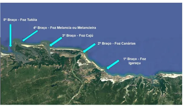 Figura 6 – As 5 bocas do delta do Parnaíba: Iguaraçú, Canárias, Cajú, Carrapato ou  Melancia e Tutóia 
