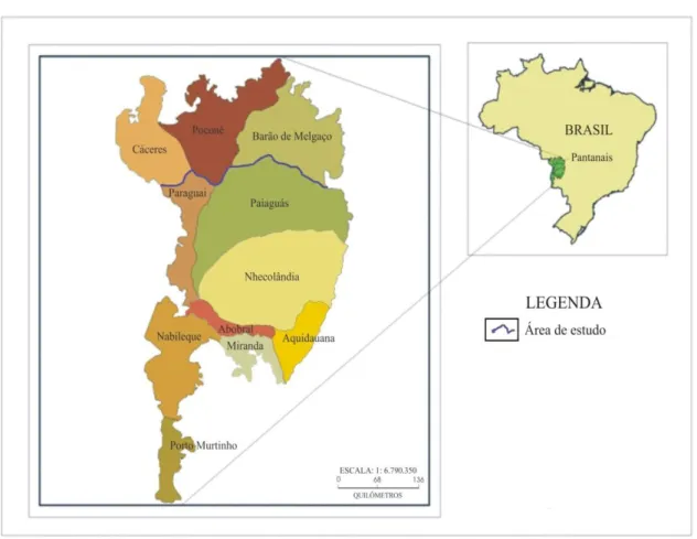 Figura 3 - Sub-regiões do Pantanal 