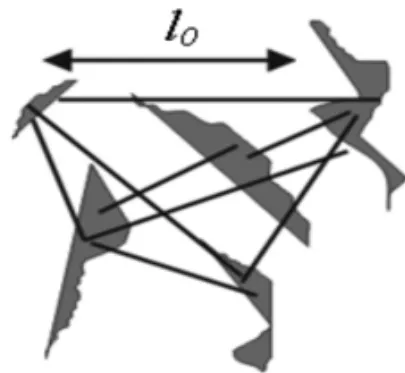 Figure 2 – Another complex element of the structured medium, where l 0 is an average distance between grains or cracks.