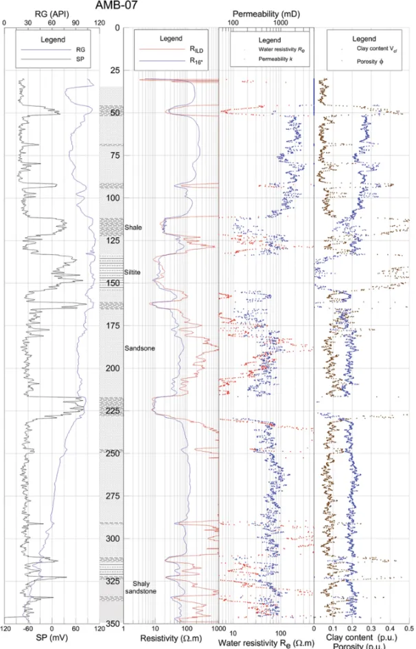 Figure 4 – Geophysical, lithological and petrophysical logs of well AMB-07.