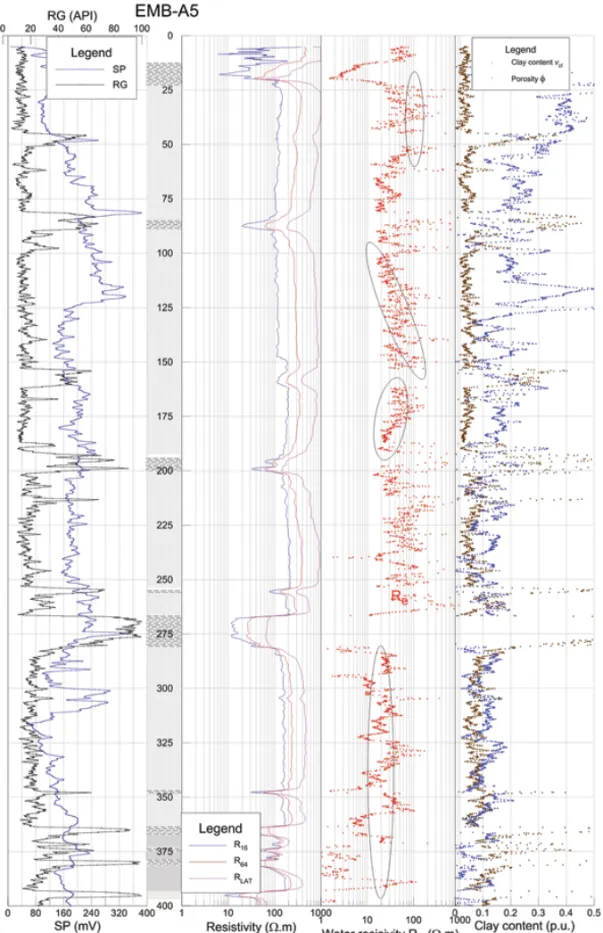 Figure 5 – Geophysical, lithological and petrophysical logs of well EMB-A5.