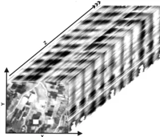 Figure 2 – 3D-temporal cube generated from co-registered images in an increasing sequence corresponding to 10 years.