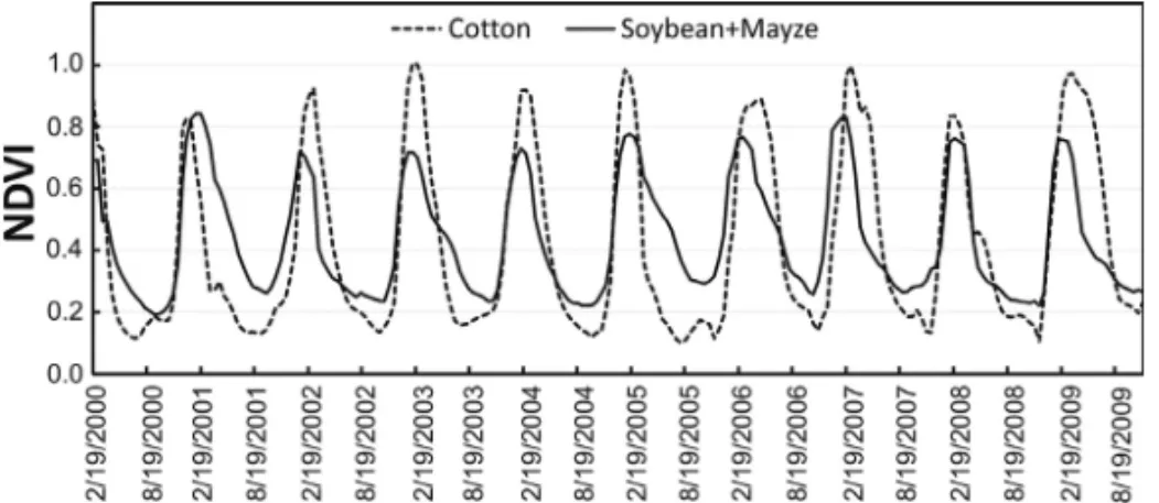 Figure 9 – Temporal profiles related to the planting of Cotton and of the Soya-Corn succession.