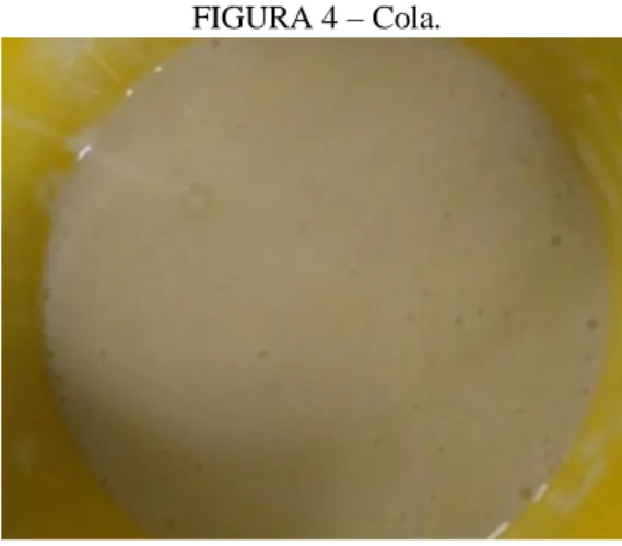 FIGURA 4 – Cola. 