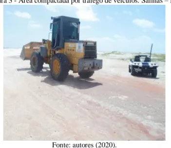 Figura 3 - Área compactada por tráfego de veículos. Salinas – PA. 