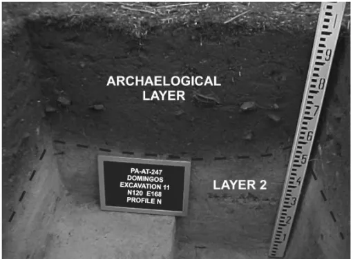Figure 5 – Excavation showing the archaeological layer and layer 2.