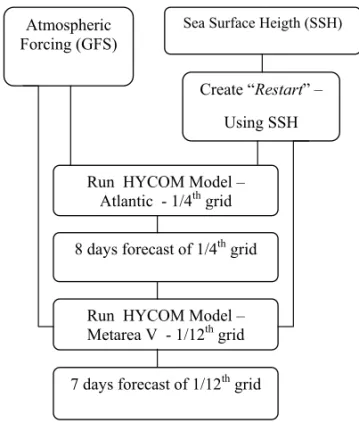 Figure 2 – Scheme of the experiments performed.