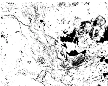 Figure 4 – Example of the final image (BW – black-white ) of the thin sections shown in Figure 1 with mapped porosity colored black.
