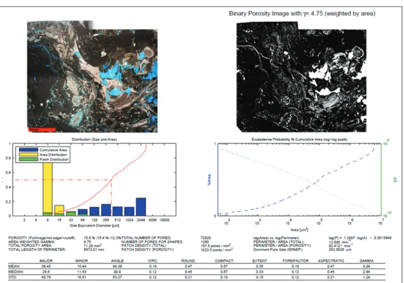 Figure 5 – Example of the statistical summary generated for the thin section shown in Figure 1