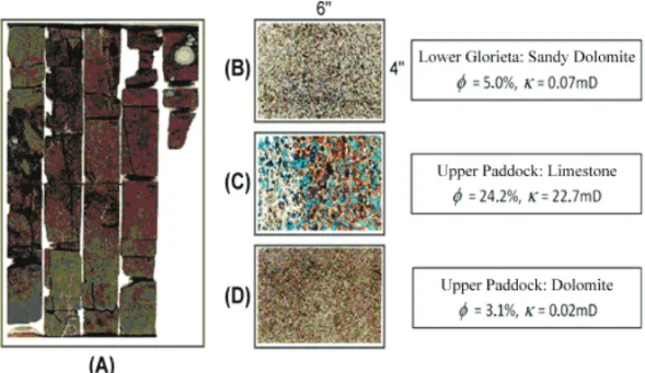 Figure 3 – Rock core photos of the Glorieta-Paddock reservoir: (A) Shows the fractures in a core of the Lower Paddock Dolomite; (B) dolomitic sand of the Lower Paddock Formation; (C) porous limestone (in blue) and permeability of the  pro-duction area in t