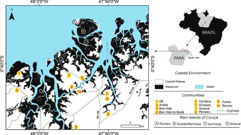 Figure 1 – Map showing the location and boundaries of the mangrove and the main islands along the study site.