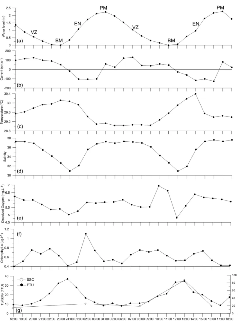 Figure 11 – Average values integrated along the water column at Station 02, during 25 hours in April/2007