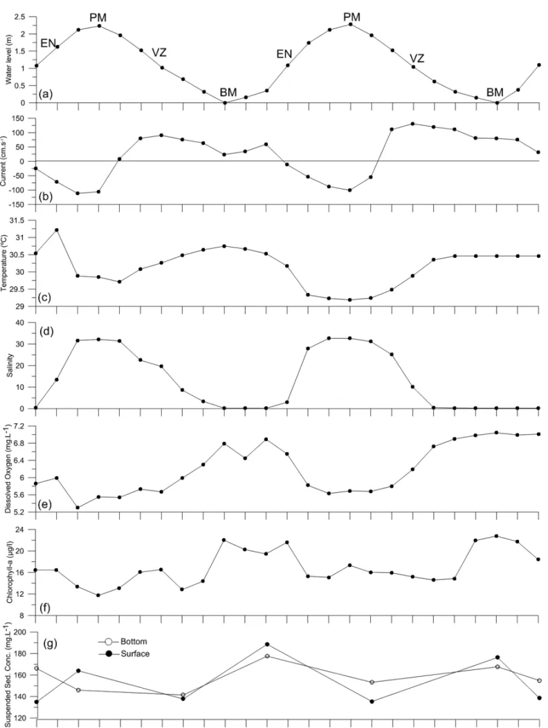 Figure 12 – Average values integrated along the water column at Station 02, during 25 hours in May/2007